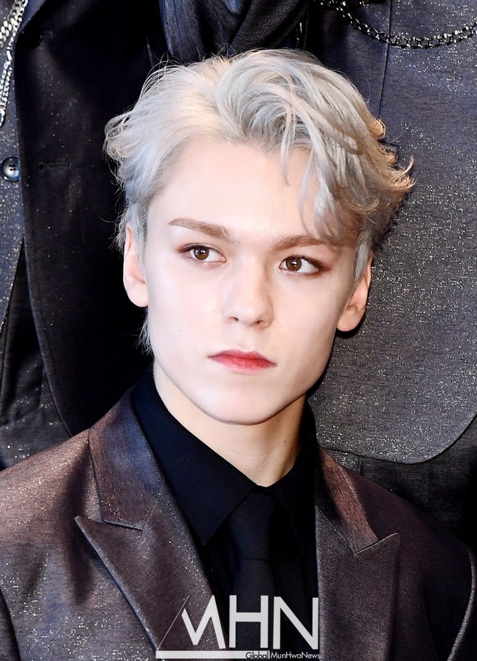 [잡담] 나 진짜 세븐틴에 어떻게 이렇게 생겼지 하는 사람 두 명 있는데 | 인스티즈