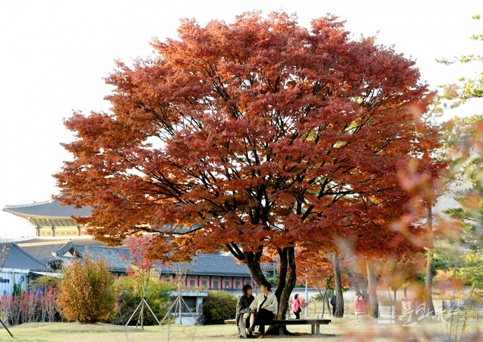 서울의 가을 풍경