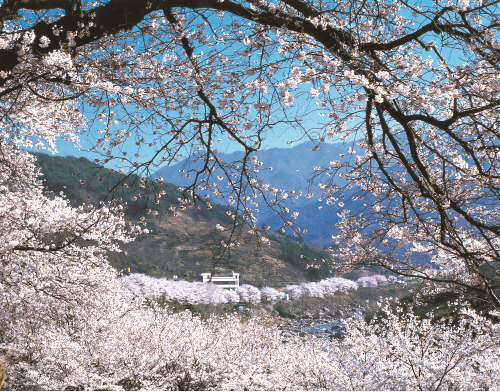 사진 = 하동군청