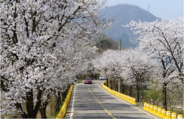 사진 = 광주시 공식블로그