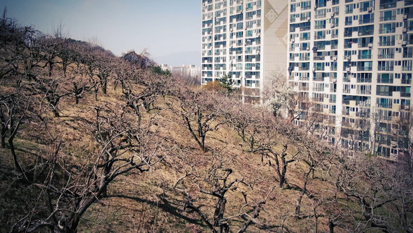 PD수첩 [사진=MBC 제공]