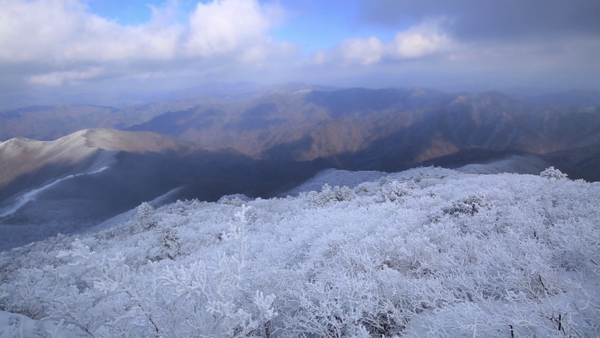 KBS '김영철의 동네 한 바퀴'