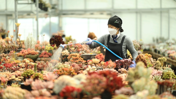 KBS '김영철의 동네 한 바퀴'