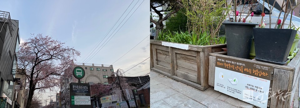 사진=문화뉴스DB / (왼) 서촌에 찾아 온 봄, (오) 깨끗한 종로 만들기
