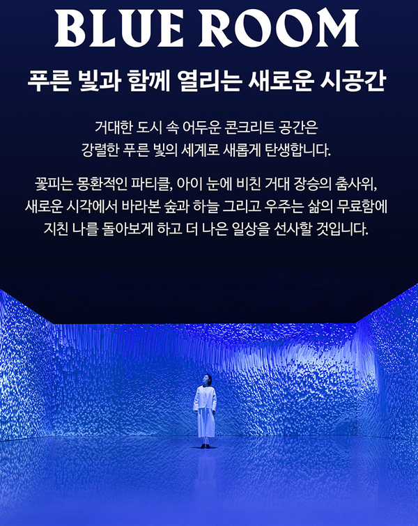 [사진= 인터파크티켓 '블루룸']