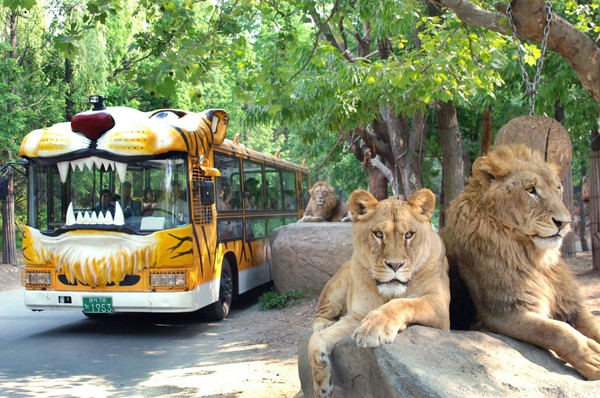 사진=에버랜드 제공