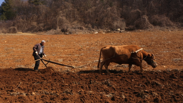 KBS '한국인의 밥상'