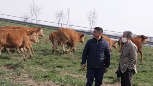 KBS '한국인의 밥상'