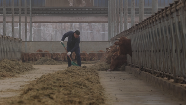 KBS '한국인의 밥상'