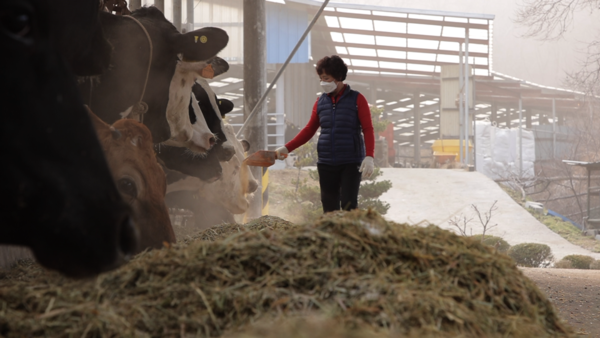 KBS '한국인의 밥상'