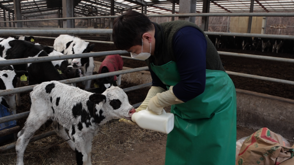 KBS '한국인의 밥상'