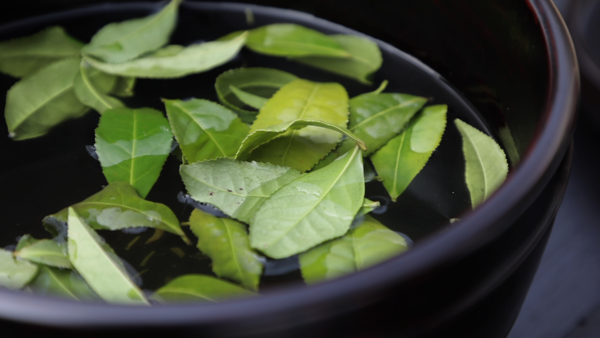 KBS '한국인의 밥상'