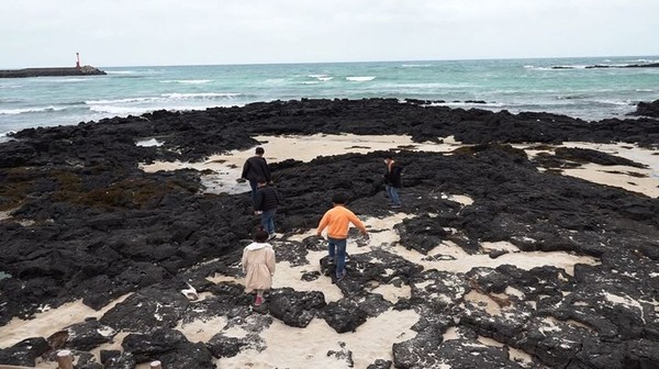 사진=SBS 뉴스토리 제공