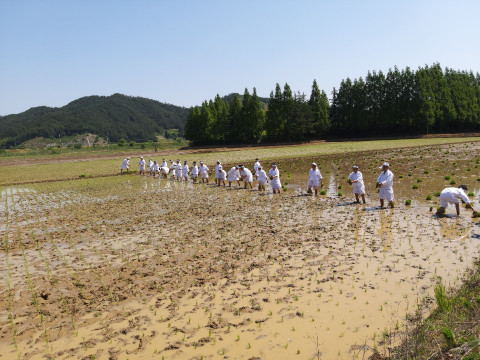 사진= 2020년 풀뿌리 전통문화 전승지원 현지 시연 모습