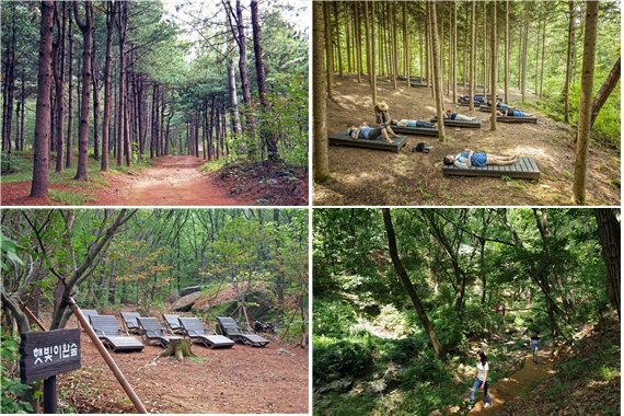 사진=서울대공원 제공