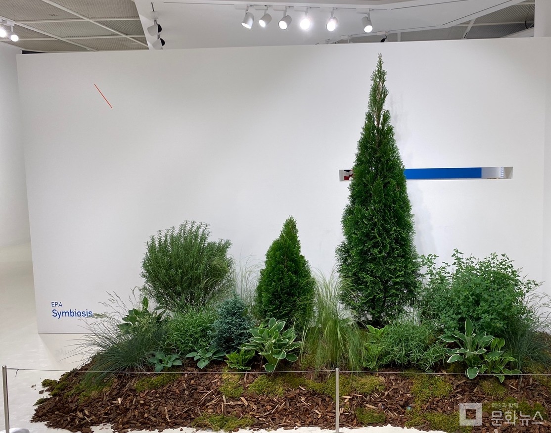 사진=문화뉴스 DB