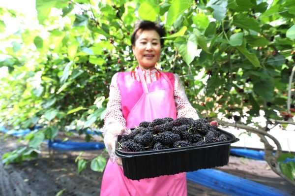 사진=업체 제공