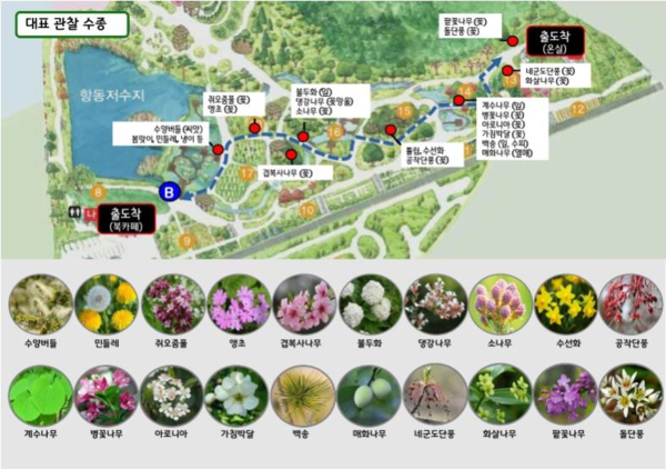 '걸어서 수목원으로' 프로그램/ 사진= 서울식물원 푸른수목원운영과 제공