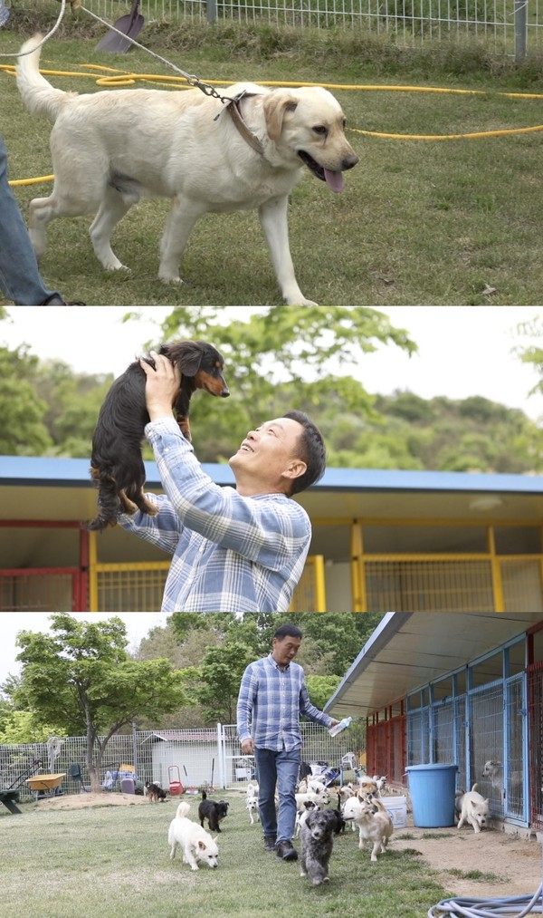 류수영의 동물비티 (사진=KBS 제공)