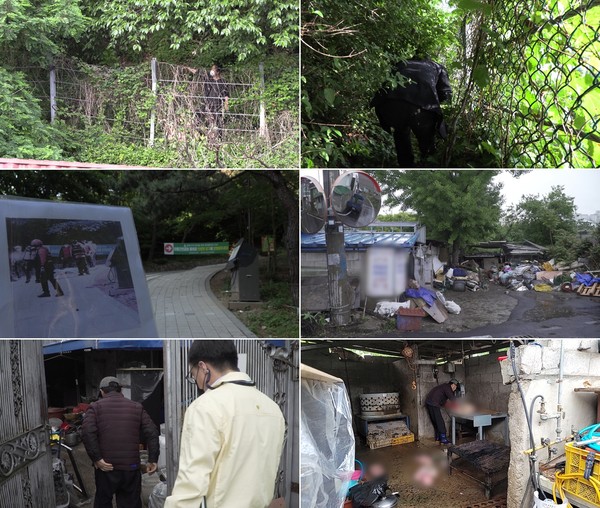 MBC 실화탐사대 방송 장면