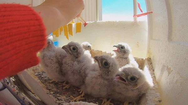 사진=SBS ‘순간포착! 세상에 이런 일이’