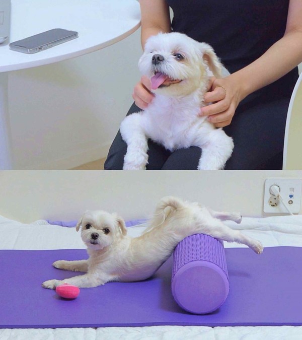 사진=SBS ‘순간포착! 세상에 이런 일이’