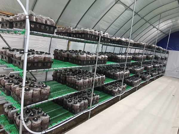 [사진=업체제공]