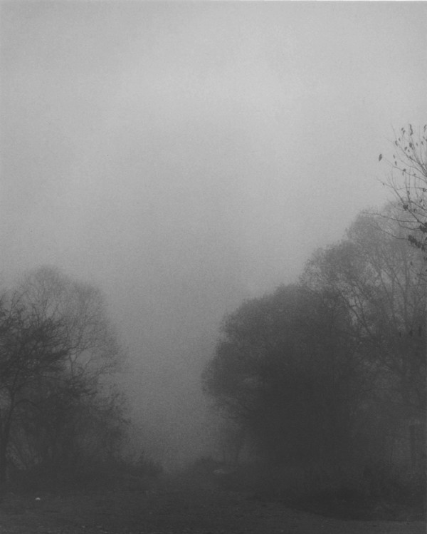 전시작품 중 일부 (사진 = 갤러리 구조 제공)