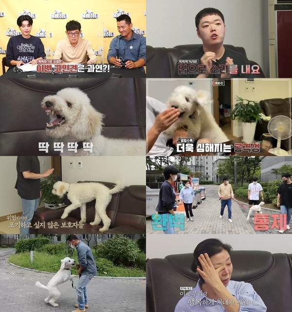 27일 방송할 '개는 훌룡하다' 프리뷰/사진= KBS2 ‘개는 훌륭하다' 제공