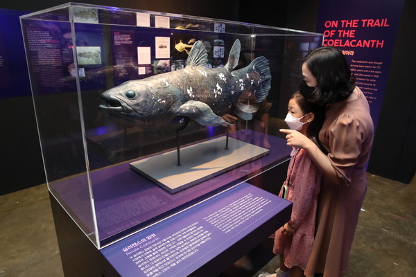 프랑스 국립 자연사박물관 특별전 ‘바다, 미지로의 탐험’ 전시장을 찾은 한 가족이 전시장 실러캔스 표본을 관람하고 있다. (사진 = 프랑스 국립 자연사박물관 제공)