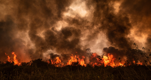 불타는 판타날/사진=Gustavo Basso/NurPhoto, AP 제공