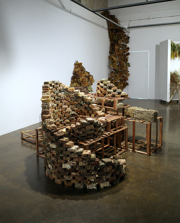 정승혜 작가의 개인전 '검불덤불 _ Veggie Block Project' 모습/사진=아트스페이스 엣 제공