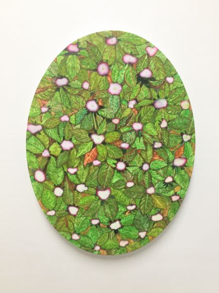송하나. 꽃, 40x30cm, 전사이미지, oil on canvas, 2021