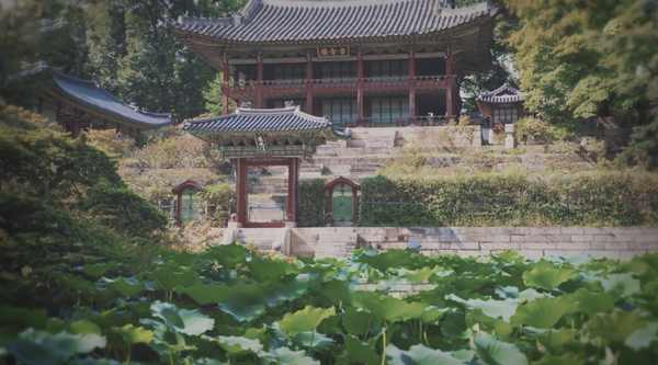 '[200초로 즐기는 한국의 유네스코 등재유산]창덕궁' 영상 캡처