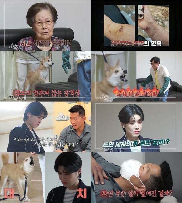 사진=KBS2 ‘개는 훌륭하다’ 제공