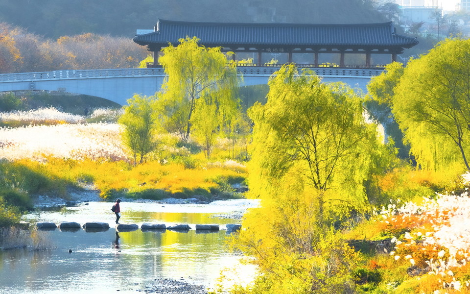 전주천의 전경 (사진=Visit Jeonju 홈페이지)