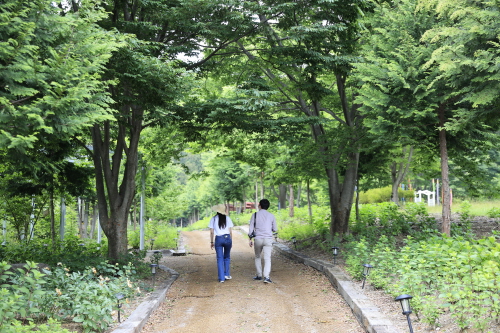 보성군 소통의 숲 윤제림, 60년 가꾼 숲 '무료개방' 인기