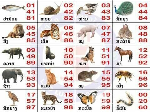 라오스 복권 번호와 동물 (출처: 라오스복권청)