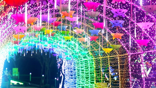 ‘2022 안산별빛마을 애니멀&하트빌리지 빛축제’[사진=한국관광공사 제공]