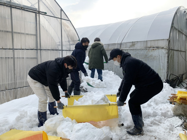 사진=지난해 12월 최대 63.7cm의 눈이 내린 전북 순창의 제설 현장/농촌진흥청 제공