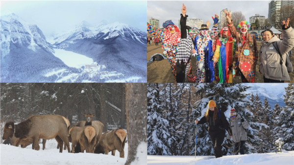 사진=EBS제공 / 세계테마기행 - '겨울왕국, 캐나다 서부'