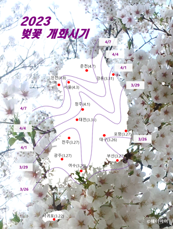 사진 =  2023 벚꽃 개회시기 / 웨더아이 제공 