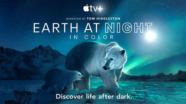사진=Apple TV+ ‘자연에 깃든 밤의 색깔’