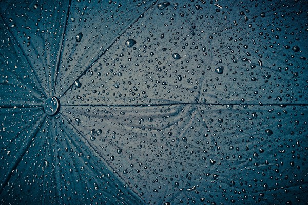 [다음주 날씨] 화요일 중부·전북·경북권에 '비'...우산 챙기세요 / 사진 = pixabay