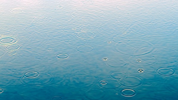 내일날씨 2일 전국 대체로 흐림...곳곳 '비' / 사진=pixabay