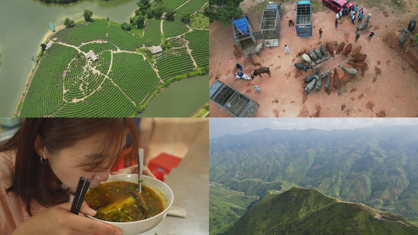사진= [EBS] 세계테마기행, 베트남 북부로 인생의 쉼표를 찍기 위한 여정을 떠난다 / EBS 제공