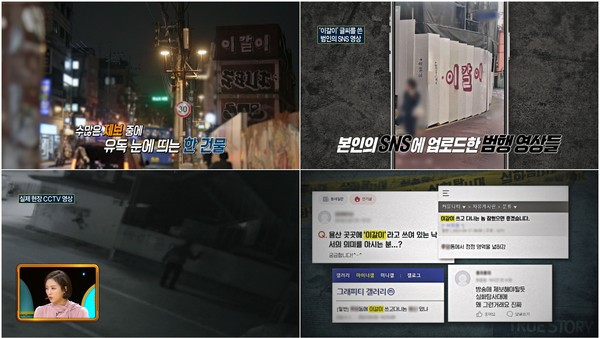 [MBC 실화탐사대] 이태원 '이갈이' 테러 → 농장 테러 미스테리 / 사진 = MBC 제공