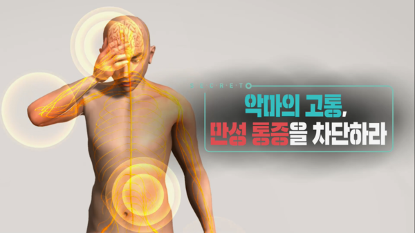 ‘생로병사의 비밀’ 악마의 고통, 만성 통증을 차단하라 / (사진 = KBS1TV) 