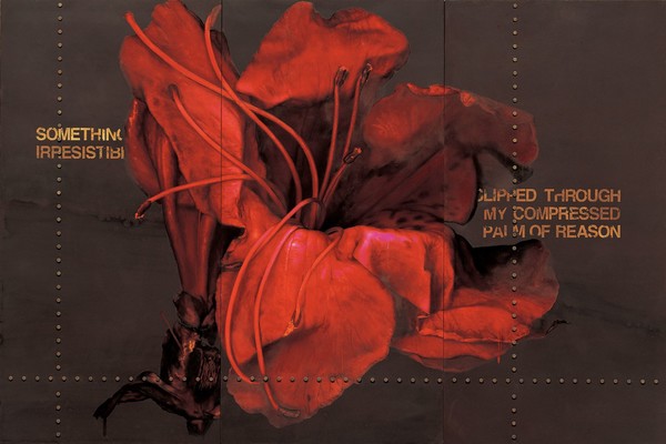 Fire flower,2005, oil, Pigment & Bolts on Wooden Panels, 200x300cm