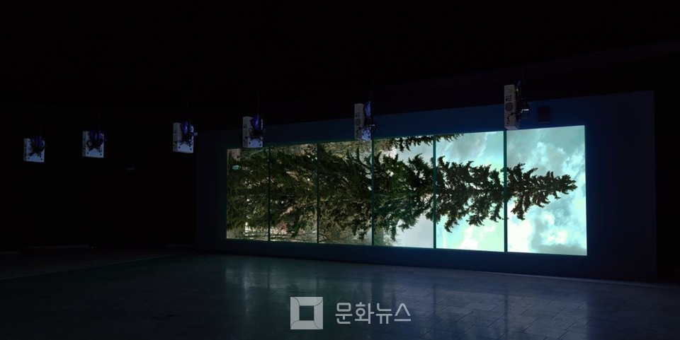 사진 제공=국립현대미술관